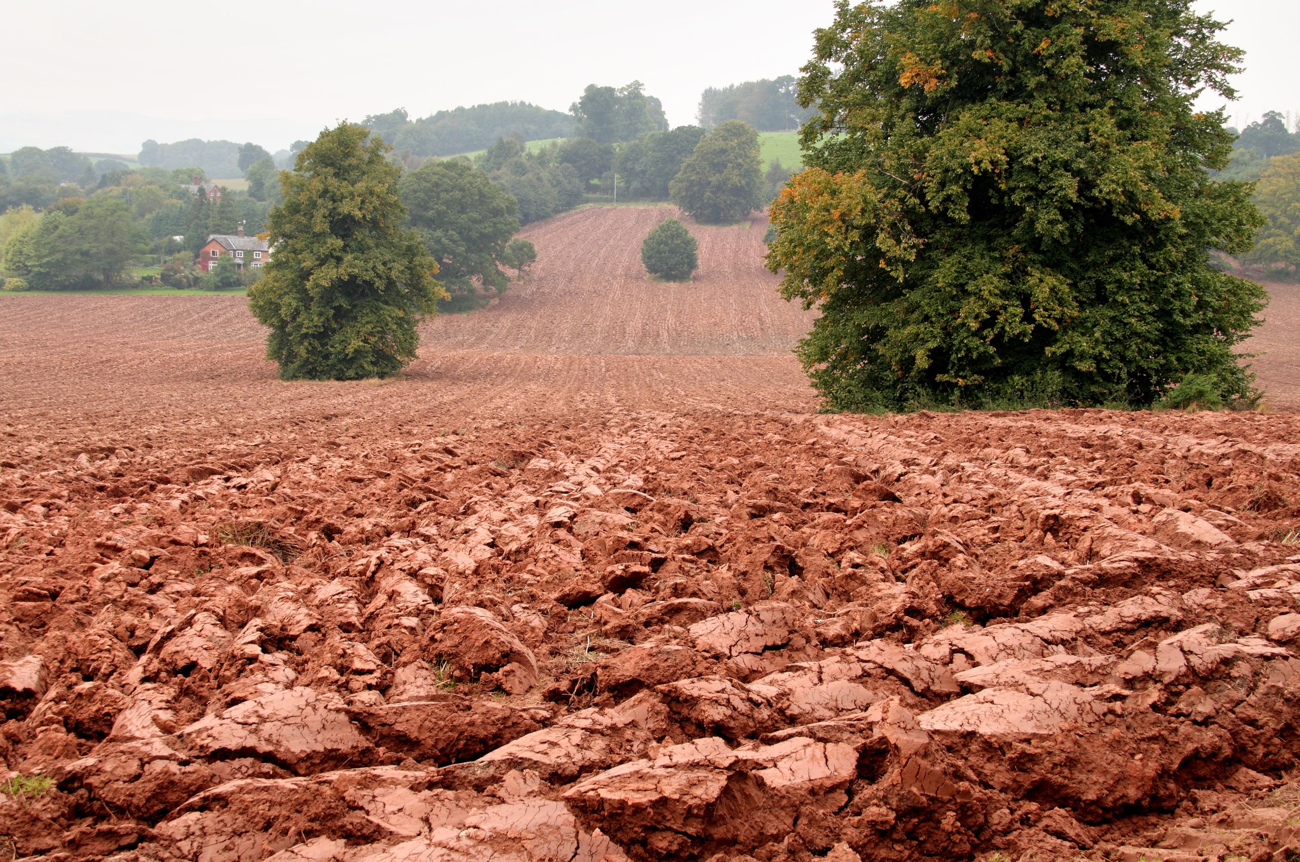 Field with bare ploughed soil