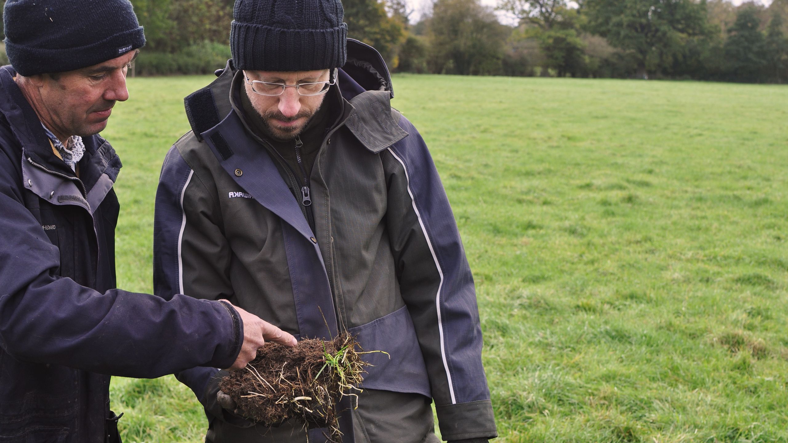 Examining soil